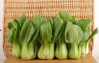 青菜爆料视频大全集下载,揭秘幕后真相，带你领略网络风云